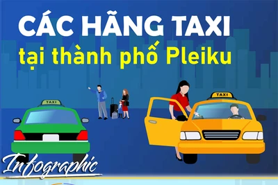 Các hãng taxi tại thành phố Pleiku