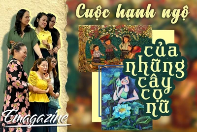 Cuộc hạnh ngộ của những cây cọ nữ