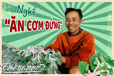 Nghề “ăn cơm đứng”