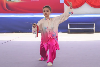 Khai mạc Giải Wushu ngoài trời đầu tiên tại Việt Nam