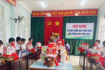 Ayun Pa: Đánh giá phân hạng sản phẩm OCOP năm 2023