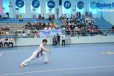 Hơn 500 vận động viên tham gia Giải vô địch Wushu quốc gia năm 2024