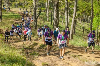 Gần 7.000 vận động viên tham gia Giải marathon Dalat Ultra Trail 2023