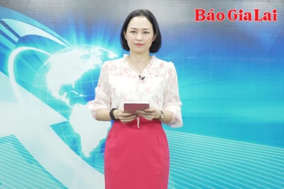 Gia Lai 24h: “Tiếp sức” cho doanh nghiệp phát triển