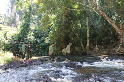 Trắng đêm canh giữ rừng ngày Tết