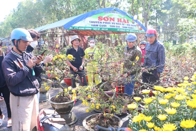 Nhộn nhịp chợ hoa Tết những ngày cuối năm