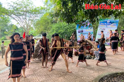 Trải nghiệm cùng lễ pơ thi làng Pleiku Roh