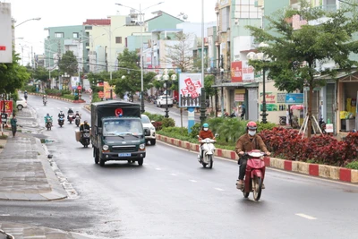 Gia Lai phê duyệt phương án sắp xếp xe ô tô của các cơ quan, tổ chức, đơn vị, địa phương