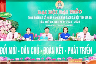 Ngân hàng Chính sách xã hội Gia Lai phấn đấu có 17 đoàn viên ưu tú vào Đảng