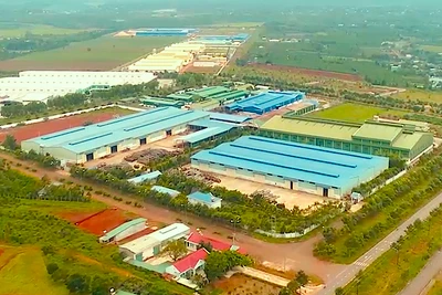 Gia Lai: Thu hồi đất các trường hợp thuê đất không đưa vào sử dụng