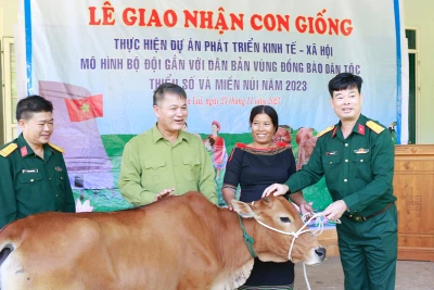 Trung đoàn Kinh tế- Quốc phòng 710: Hỗ trợ gần 1 tỷ đồng mua bò giống tặng người dân 