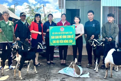 Mang Yang: Trao mô hình sinh kế cho nông dân có hoàn cảnh khó khăn