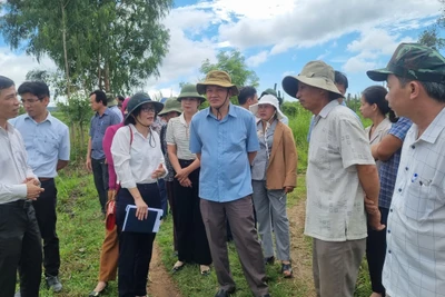 Giám sát việc quản lý và sử dụng ngân sách địa phương ủy thác qua Ngân hàng Chính sách xã hội tại huyện Kbang 