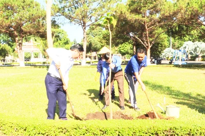 Chư Păh phát động Tết trồng cây “Đời đời nhớ ơn Bác Hồ”