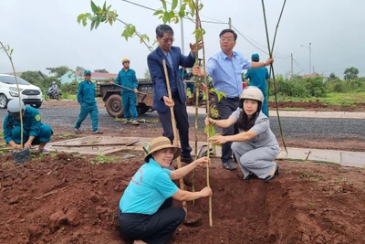 Mang Yang: Phát động trồng cây “Đời đời nhớ ơn Bác Hồ” 