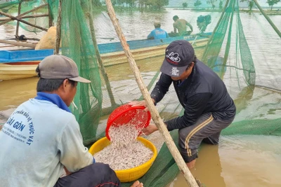 Mưu sinh bên lòng hồ thủy lợi Ia Mơr