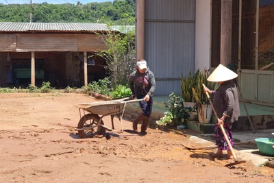 Bình Giáo: Dân khổ vì bùn đất từ công trình nâng cấp quốc lộ 19 tràn vào nhà