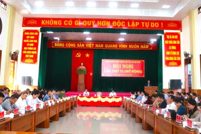 Hội nghị Ban Chấp hành Đảng bộ thị xã An Khê lần thứ 15 (mở rộng) 