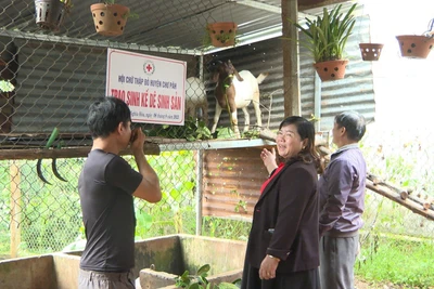 Tặng dê sinh sản cho hộ nghèo ở xã Nghĩa Hòa 