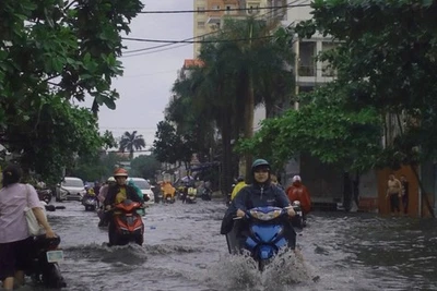 Tây Nguyên, Nam Bộ đón mưa lớn đỉnh điểm