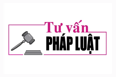 Luật sư Bùi Thanh Vũ tư vấn về quyền thừa kế theo di chúc