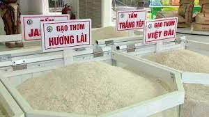 Giá gạo trong nước tiếp tục tăng