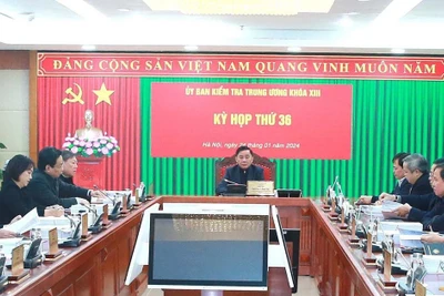 Kỷ luật, đề nghị kỷ luật nhiều lãnh đạo cấp cao Bắc Ninh, Lâm Đồng và An Giang