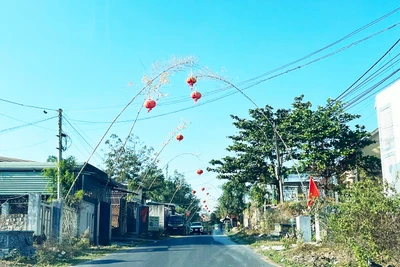 Triển khai cơ chế, chính sách đặc thù đẩy nhanh tiến độ chương trình mục tiêu quốc gia 