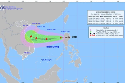 Chủ động ứng phó áp thấp nhiệt đới có khả năng mạnh lên thành bão