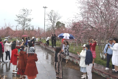 Kon Plông chú trọng phát triển “du lịch xanh”