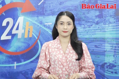 Gia Lai 24h: Đảm bảo tiến độ tổ chức đại hội chi bộ, Đảng bộ theo quy định