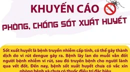 [Infographics] Bộ Y tế khuyến cáo phòng, chống sốt xuất huyết