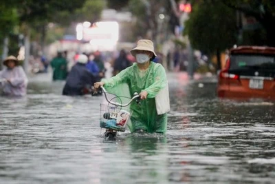 Nam Bộ, Tây Nguyên sắp đón mưa diện rộng