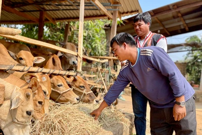 Chung tay giúp làng Chuk vươn lên