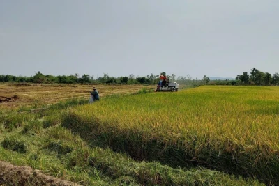 Gia Lai: Hộ nghèo trong đồng bào dân tộc thiểu số giảm trên 4,21%