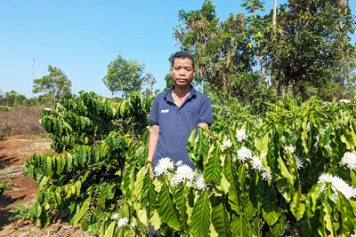 Xung quanh chiến công của du kích Puih Glớ và đồng đội - Kỳ cuối: Phác họa chân dung Puih Glớ