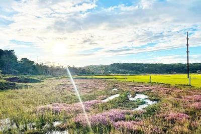 Hoàng hôn đâu phải để lụi tàn