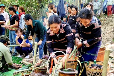 Những bữa tiệc rừng