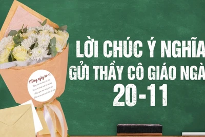 Lời chúc Ngày Nhà giáo Việt Nam 20/11