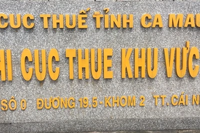 Bắt giam Phó Chi cục trưởng Chi cục Thuế khu vực III