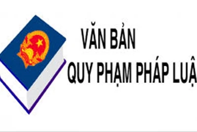 Thay đổi thành viên Tổ công tác của Thủ tướng Chính phủ về rà soát hệ thống văn bản quy phạm pháp luật