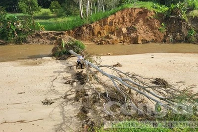 Kon Tum: Công bố tình huống khẩn cấp sau khi đập thủy lợi bị vỡ