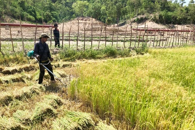 Chư Sê tập trung giảm nghèo bền vững