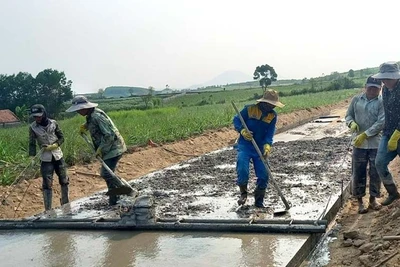 Phó Thủ tướng Lê Minh Khái ký quyết định tổ chức Tổng điều tra nông thôn, nông nghiệp năm 2025