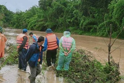 Ôm cây luồng băng qua suối lúc lũ dữ, chồng thoát chết, vợ mất tích