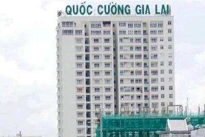 Quốc Cường Gia Lai muốn bán 2 nhà máy thủy điện để trả tiền vụ Trương Mỹ Lan