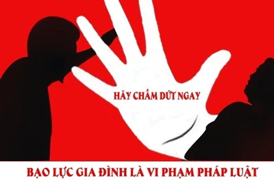 Triển khai thi hành Luật Phòng, chống bạo lực gia đình