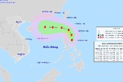 Xem xét đóng cửa một số sân bay do bão Yagi