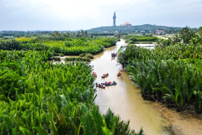 Về Quảng Ngãi xuôi dòng Kinh Giang tham quan rừng dừa nước