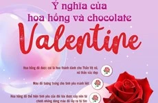 [Infographics] Ý nghĩa của hoa hồng và chocolate ngày Valentine 